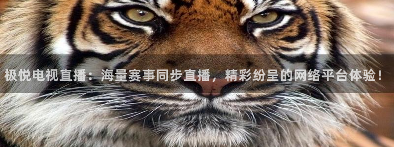 多多28苹果版怎么下载