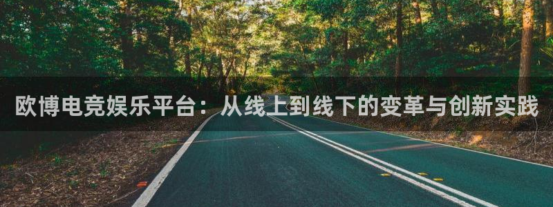 多多28pg官网入口下载