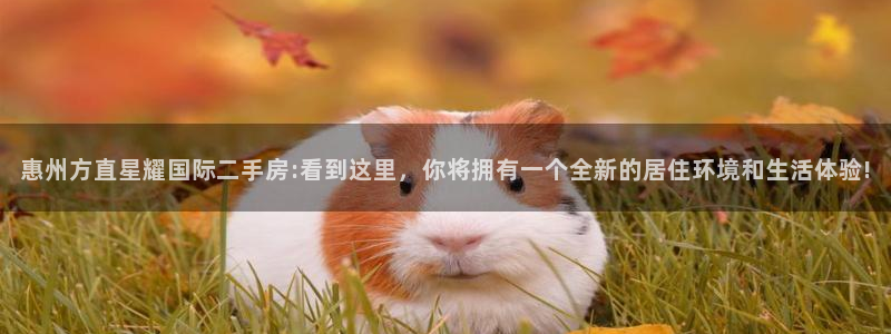 多多28g官网登录入口