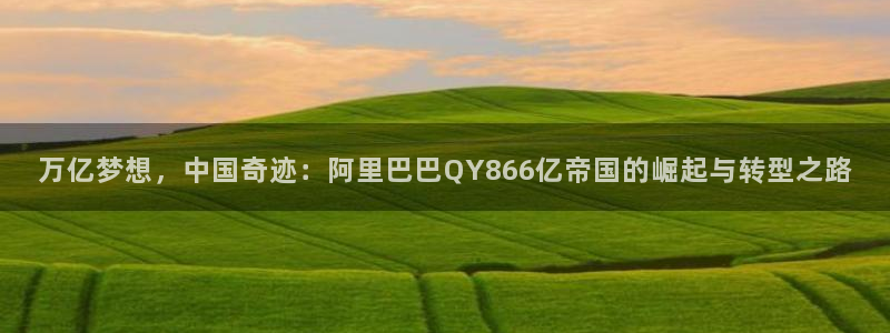 多多28平台下载安装