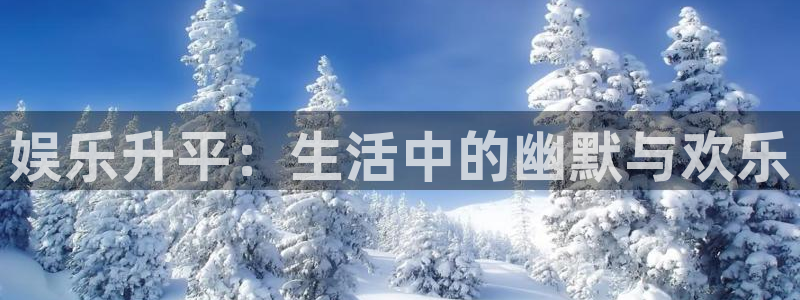 多多28平台注册