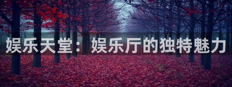 多多28g官网