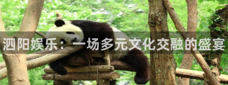 多多28g游戏大厅app