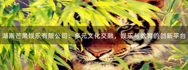 多多28g登录入口手机版