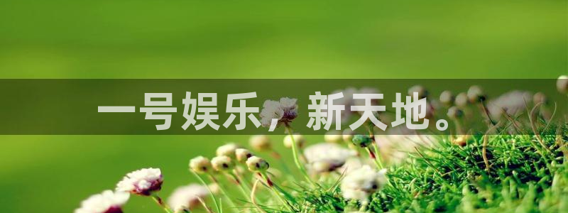 多多28苹果版怎么下载