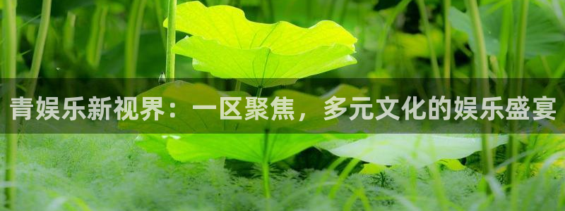 多多28下载官网
