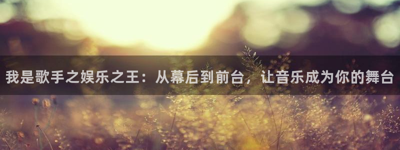 多多28下载安装：我是歌手之娱乐之王：从幕后到前台，让音乐成为你的舞台